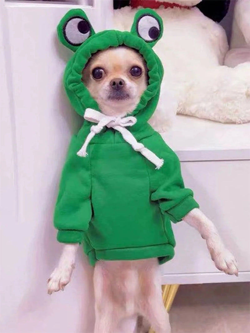 Sweater Sapo para cães