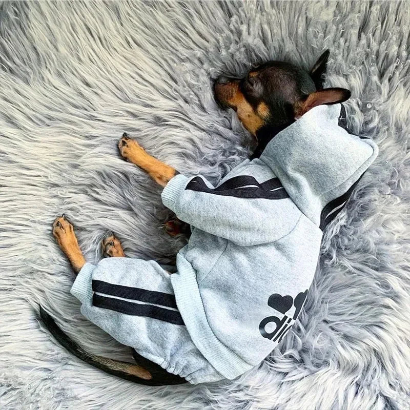 Conjunto Adidas para cães