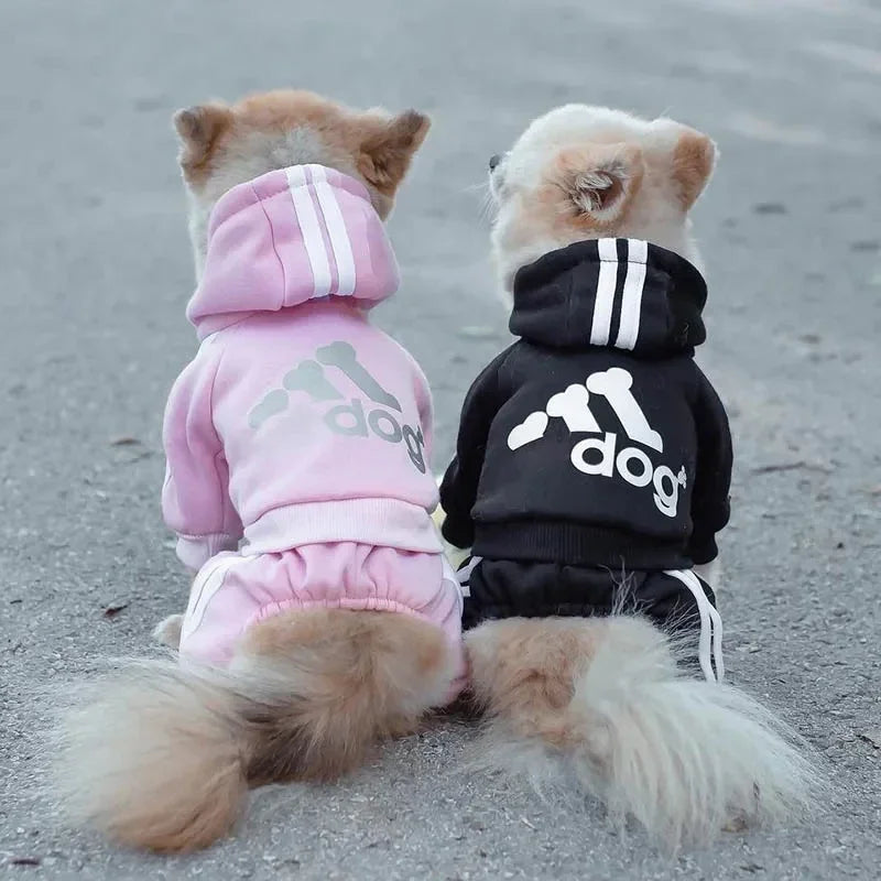 Conjunto Adidas para cães