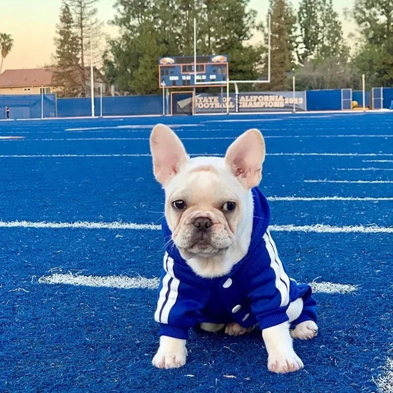 Conjunto Adidas para cães