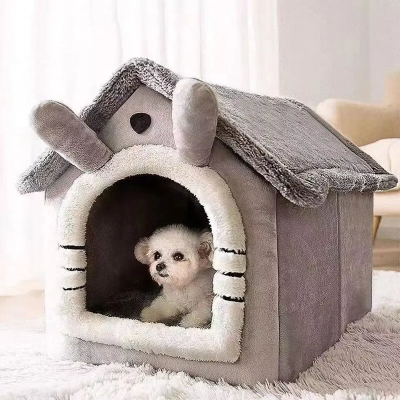 Casa para cães e gatos